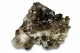 Dark Smoky Quartz Crystal Cluster - Brazil #302221-1